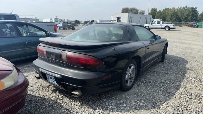 PPI3660 – 1997 Pontiac Firebird - Image 5