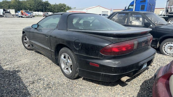 PPI3660 – 1997 Pontiac Firebird - Image 4