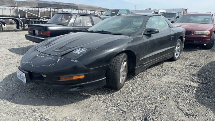 PPI3660 – 1997 Pontiac Firebird