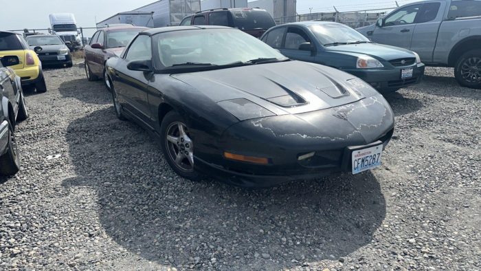 PPI3660 – 1997 Pontiac Firebird - Image 2