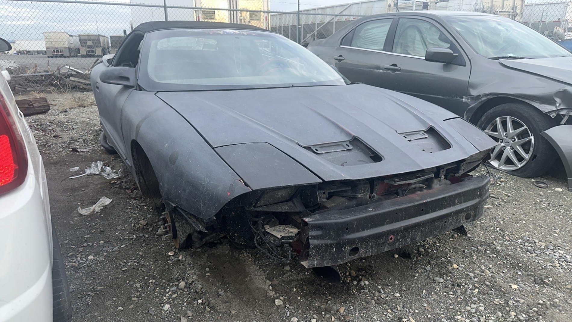 WSP3711 – 1995 PONTIAC FIREBIRD - Image 4