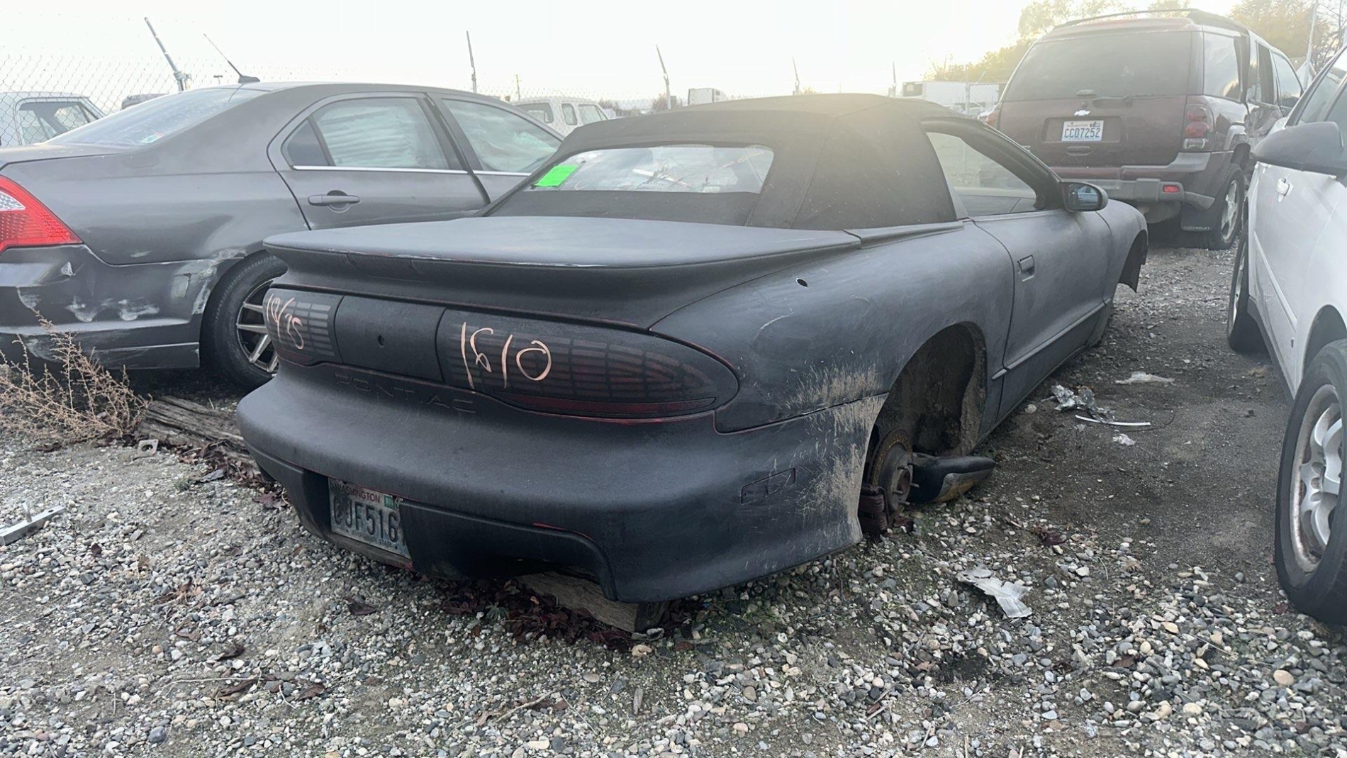 WSP3711 – 1995 PONTIAC FIREBIRD - Image 3