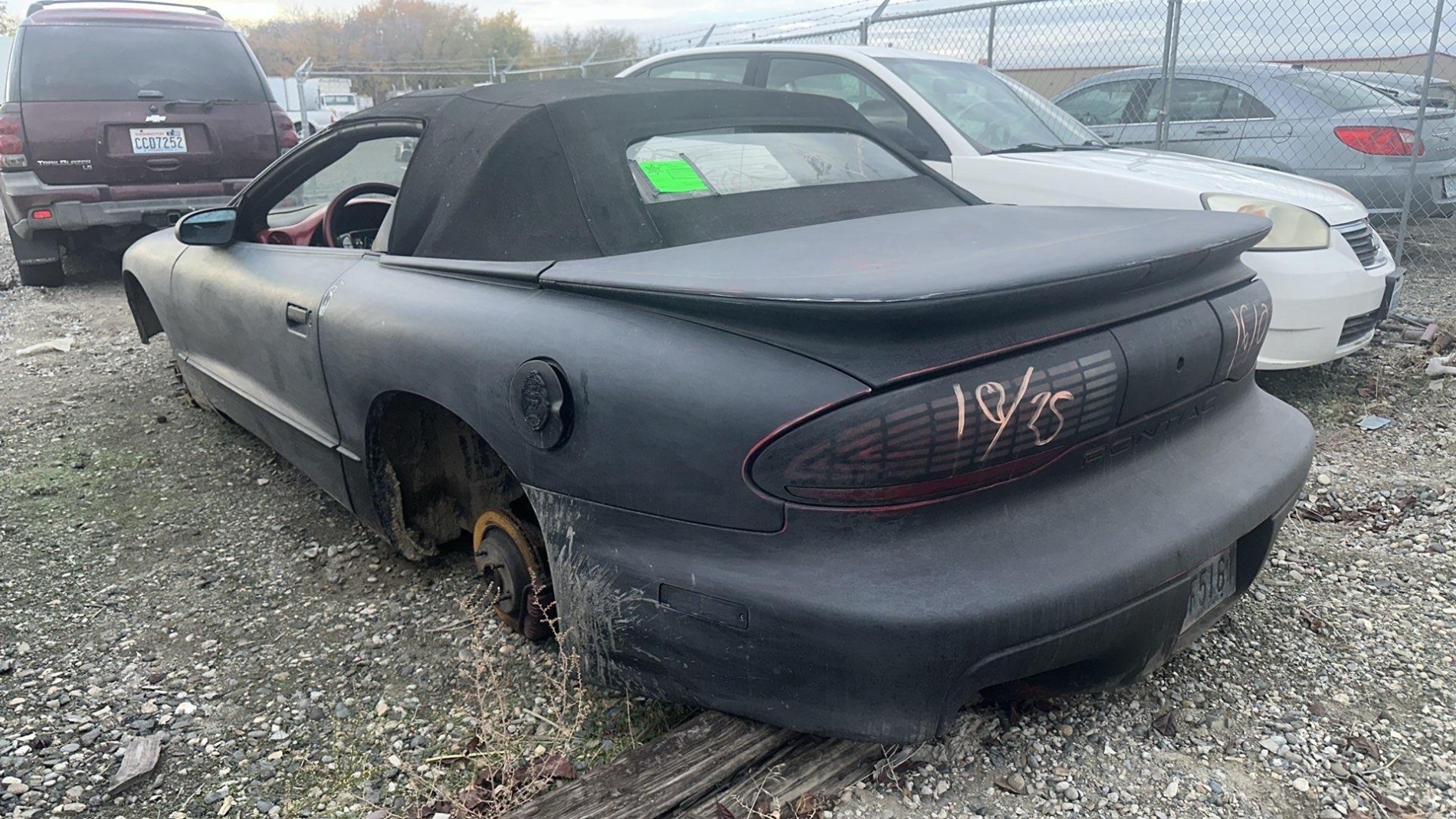 WSP3711 – 1995 PONTIAC FIREBIRD - Image 2